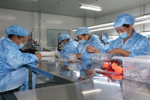 建設(shè)50億級(jí)產(chǎn)業(yè)集群 郟縣傾力打造中部地區(qū)知名醫(yī)用耗材產(chǎn)銷地