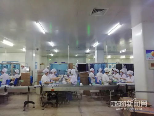 保供抗疫藥品 挑戰防護用品生產,哈藥復工 大陣仗